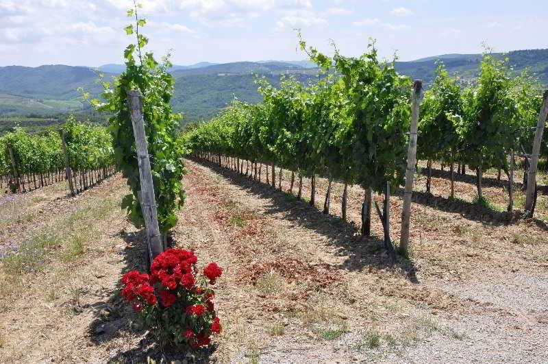 Borgo Castelvecchi Residenza Depoca Hotel Radda in Chianti Eksteriør billede