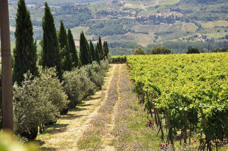 Borgo Castelvecchi Residenza Depoca Hotel Radda in Chianti Eksteriør billede